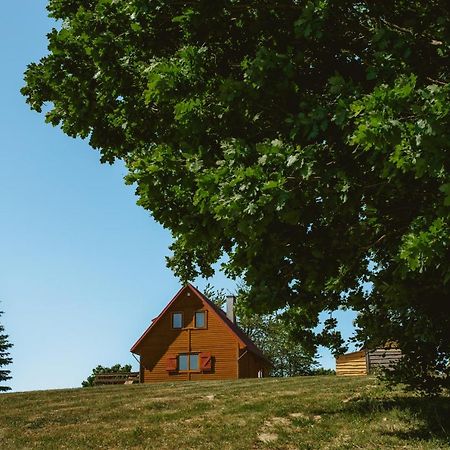 Widokowka Kaszuby Villa Mirachowo Eksteriør billede