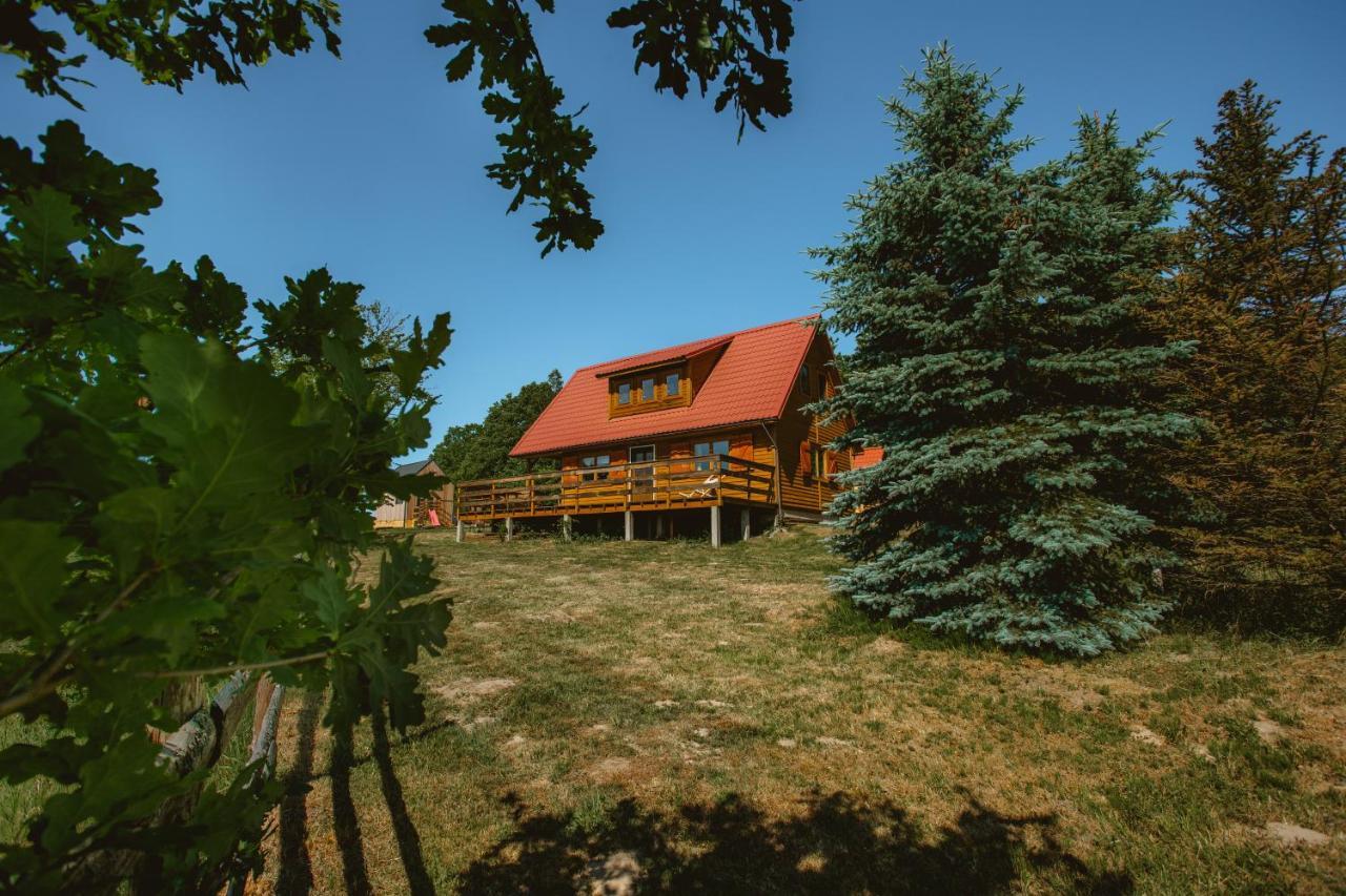 Widokowka Kaszuby Villa Mirachowo Eksteriør billede